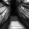 R0019538