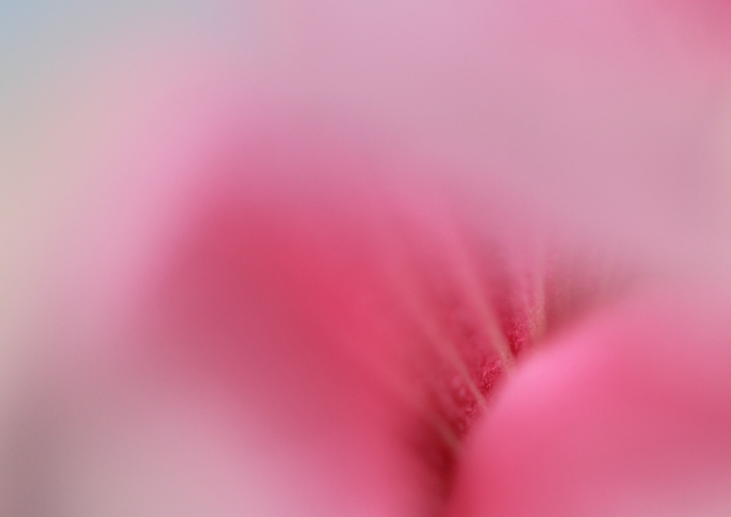  between 