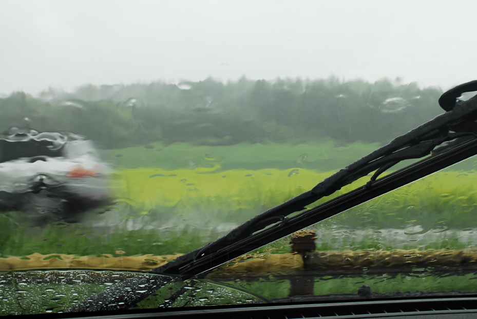 雨