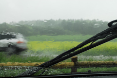雨