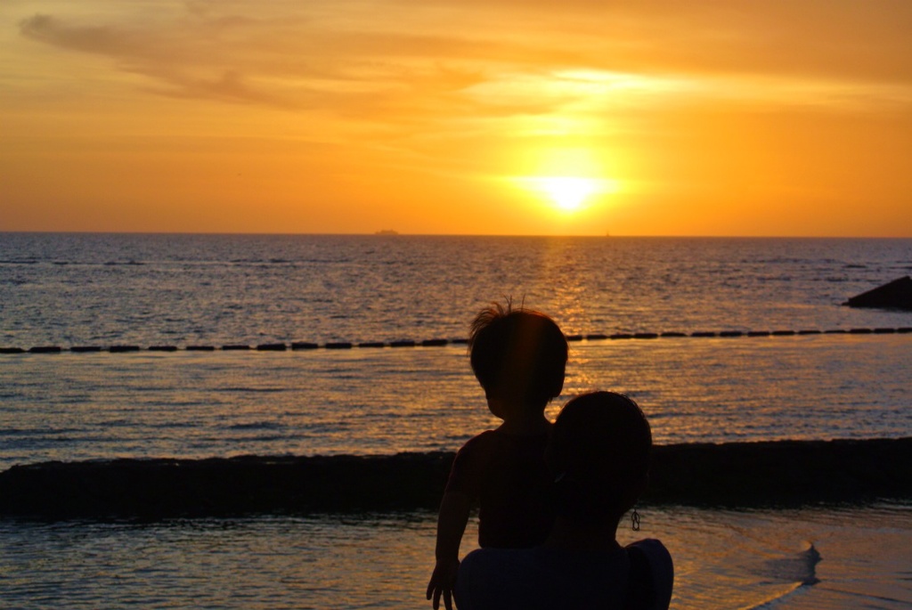 ほら~綺麗ね〜♬