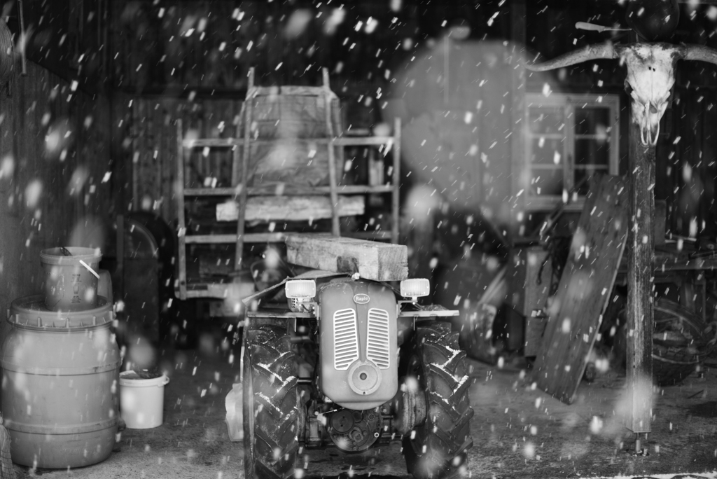 また雪２