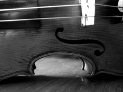 Violine