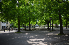 チューリッヒ５