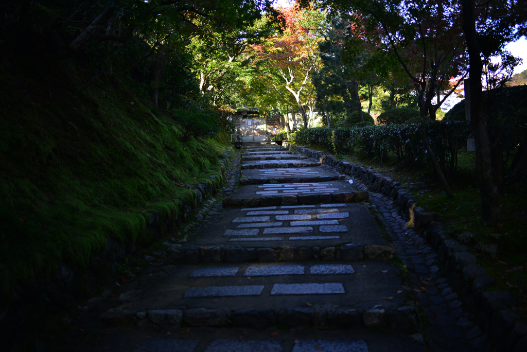 念仏寺道