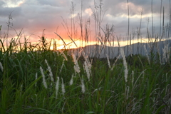 佐渡の夕方