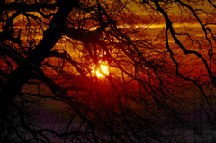 夕日