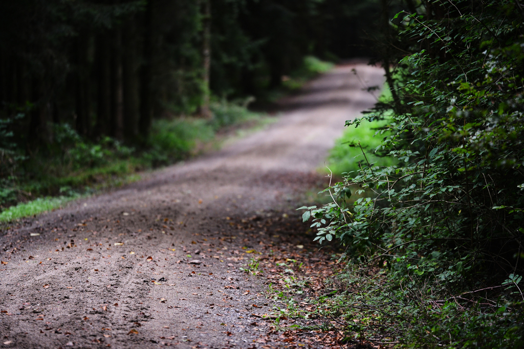 Der Weg 2