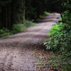 Der Weg 2
