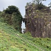 ハサミ岩