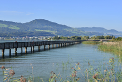 Rapperswil6
