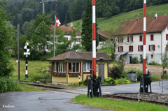 Bauma 2