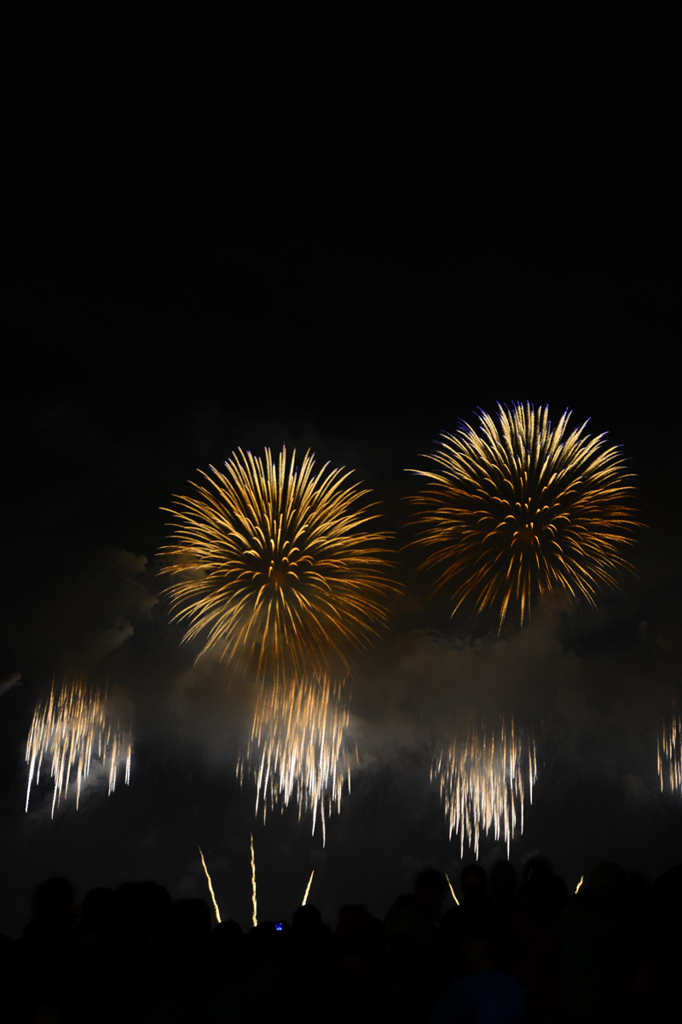 新年明けましておめでとうございます。