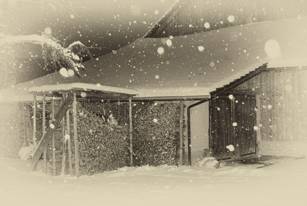 雪の降る日　２