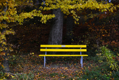 黄色いベンチ