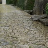 首里城石畳道