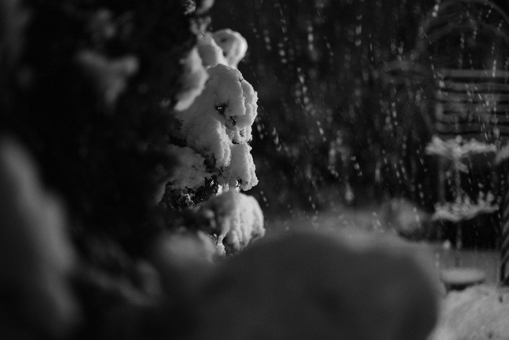 また雪２