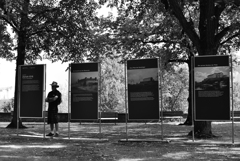 ストリートフォト79