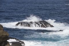 荒海