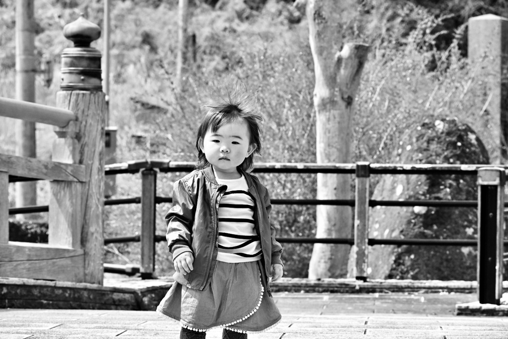 先程の子