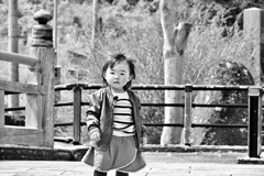 先程の子
