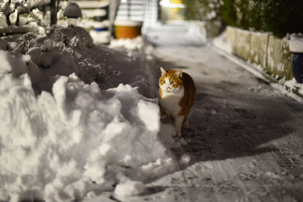 初雪３