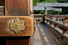 桐