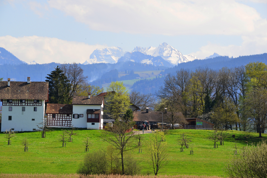 スイスにも春が来た。