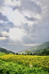 岩首