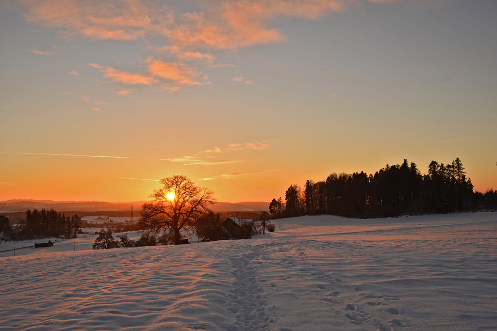 雪原と夕陽