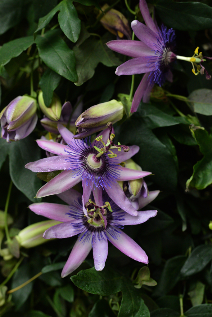 チューリッヒで　１