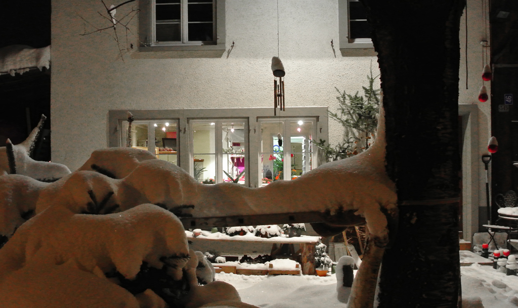 お向かえの花屋さん　２