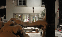 お向かえの花屋さん　２