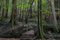 橋
