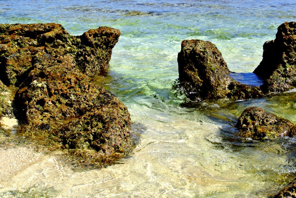 浜辺