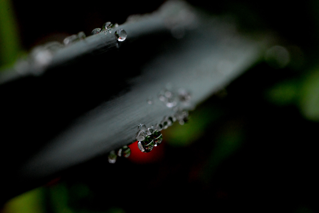 雨降り後３