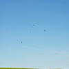 青空に舞う