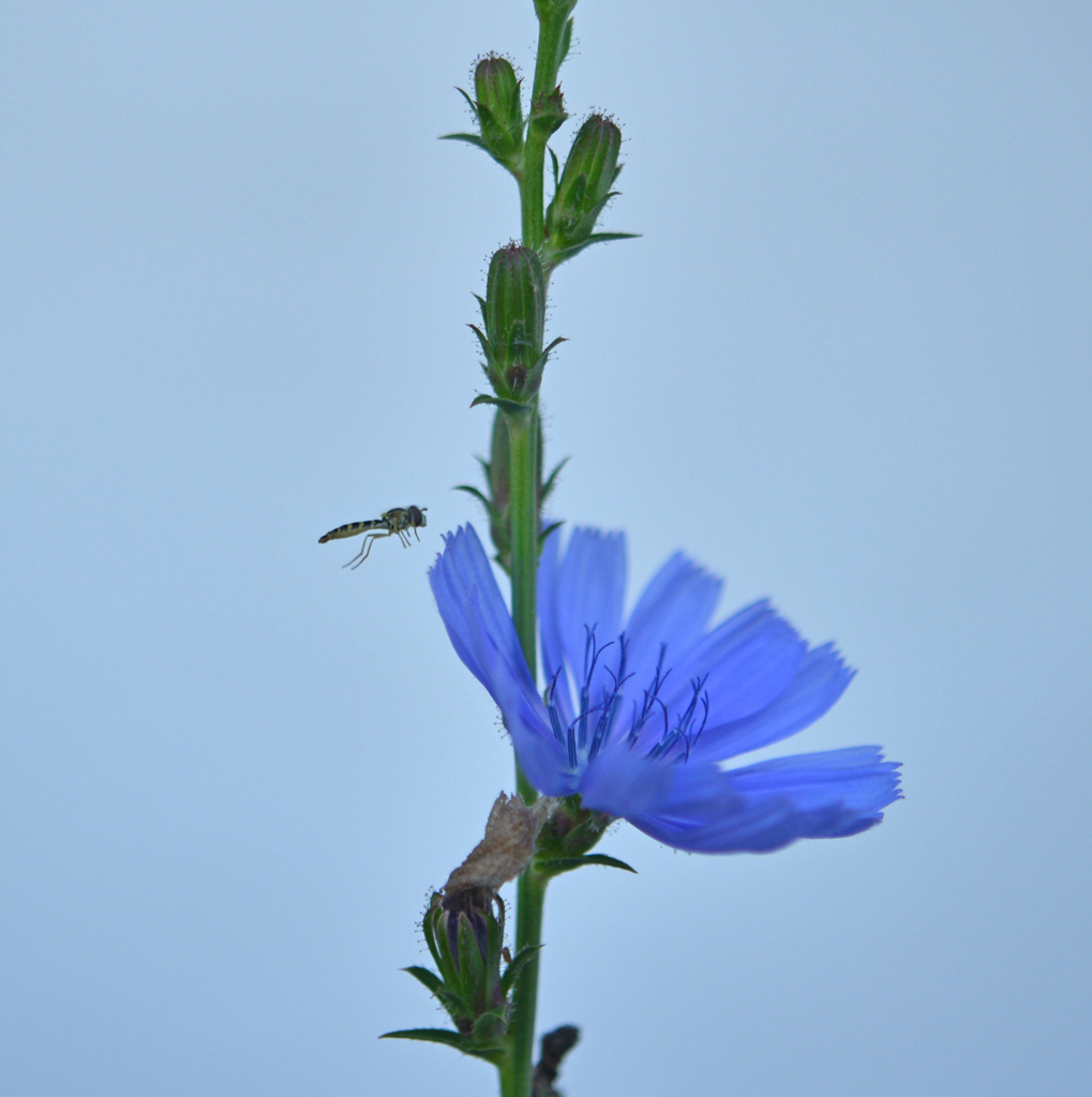 着地確認