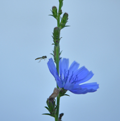 着地確認