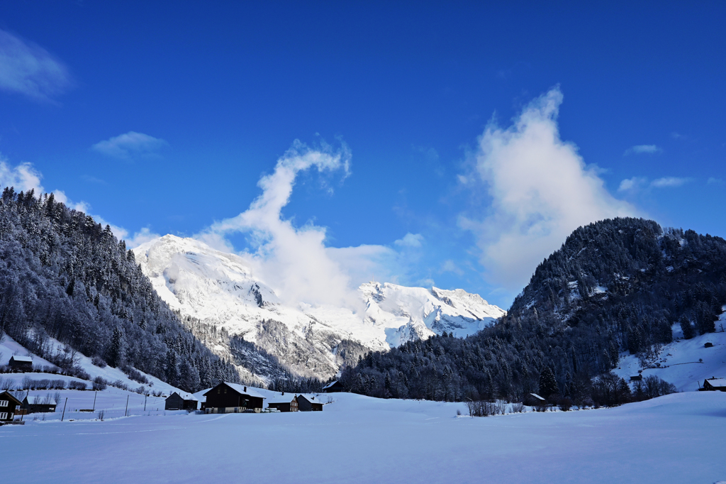 Toggenburg 3 
