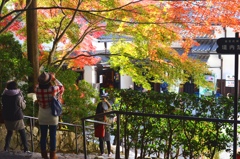 京都三千院　３