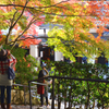 京都三千院　３