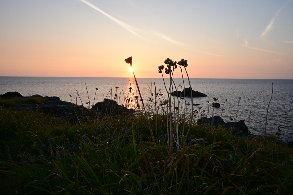 夕日