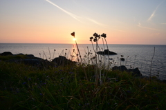 夕日