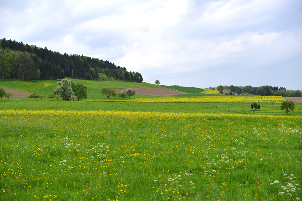 Theilingen
