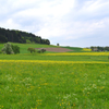 Theilingen