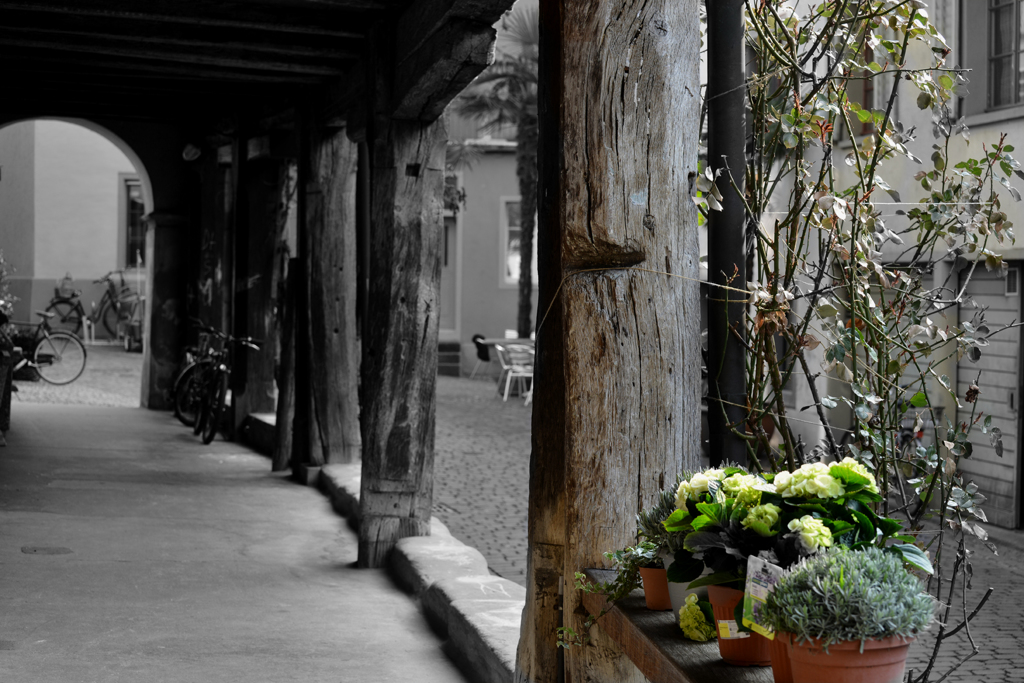 ボクの好きな所