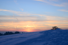 夕日３