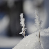 雪の花２