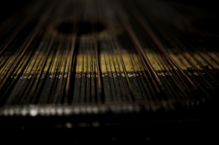 これは何だろう〜？